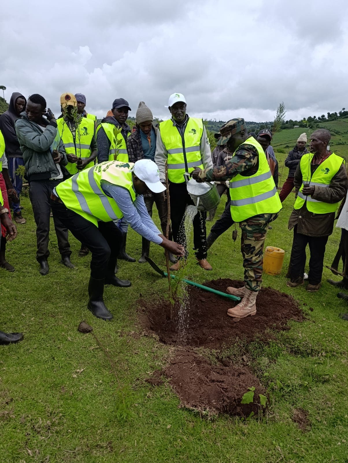 Communities and partners watering a newly planted tree