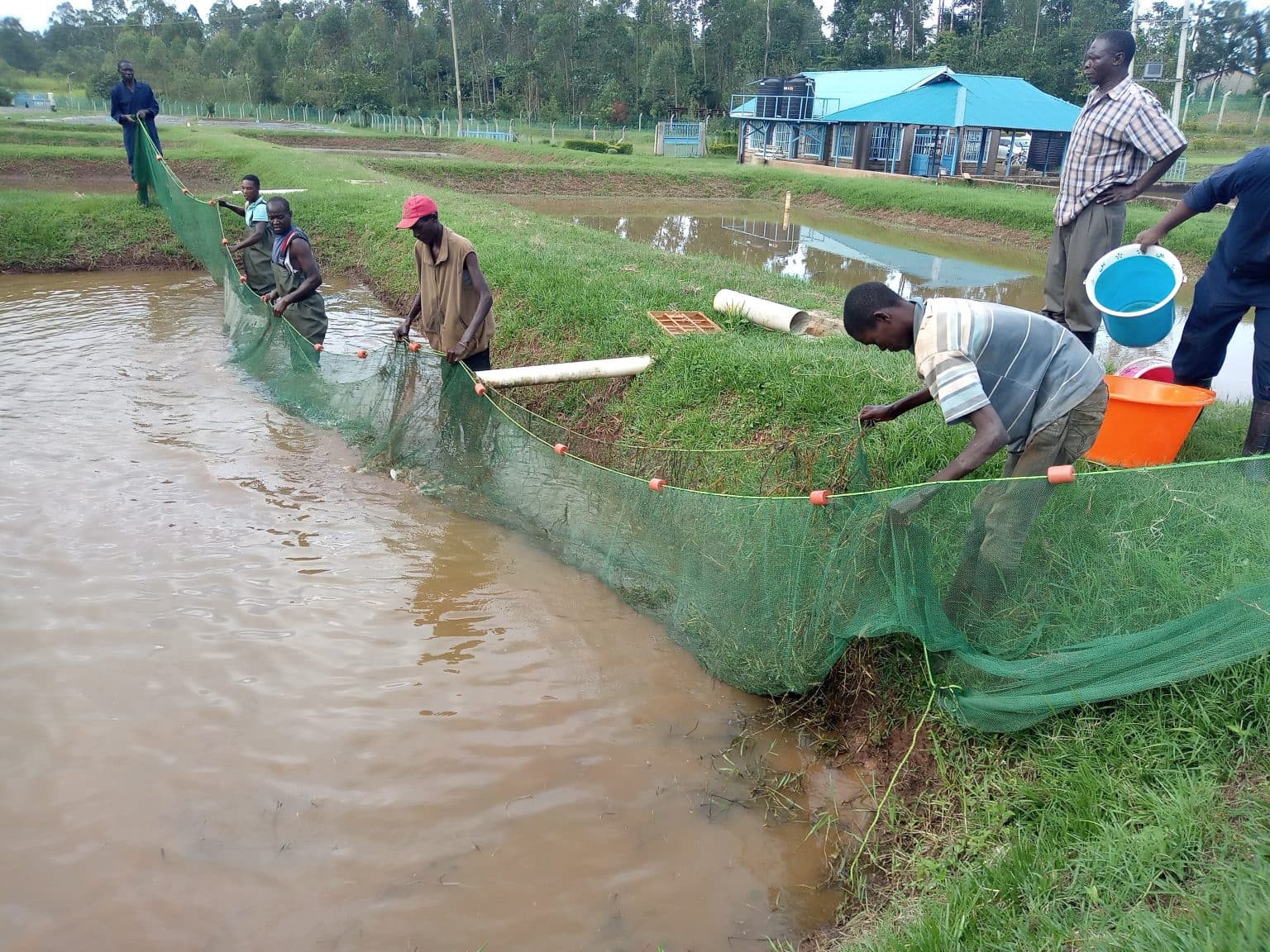 Leona Foundation community work