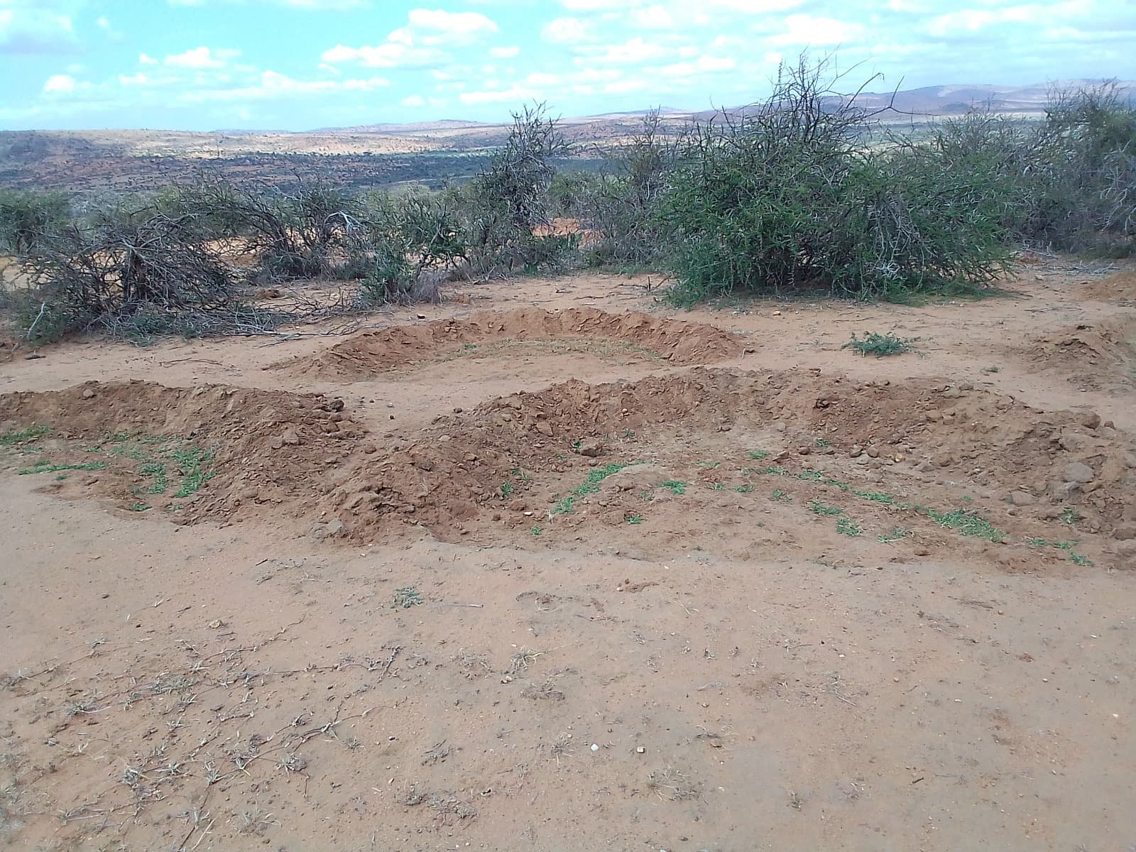 Community members constructing semi-circular bunds for grasslands restoration